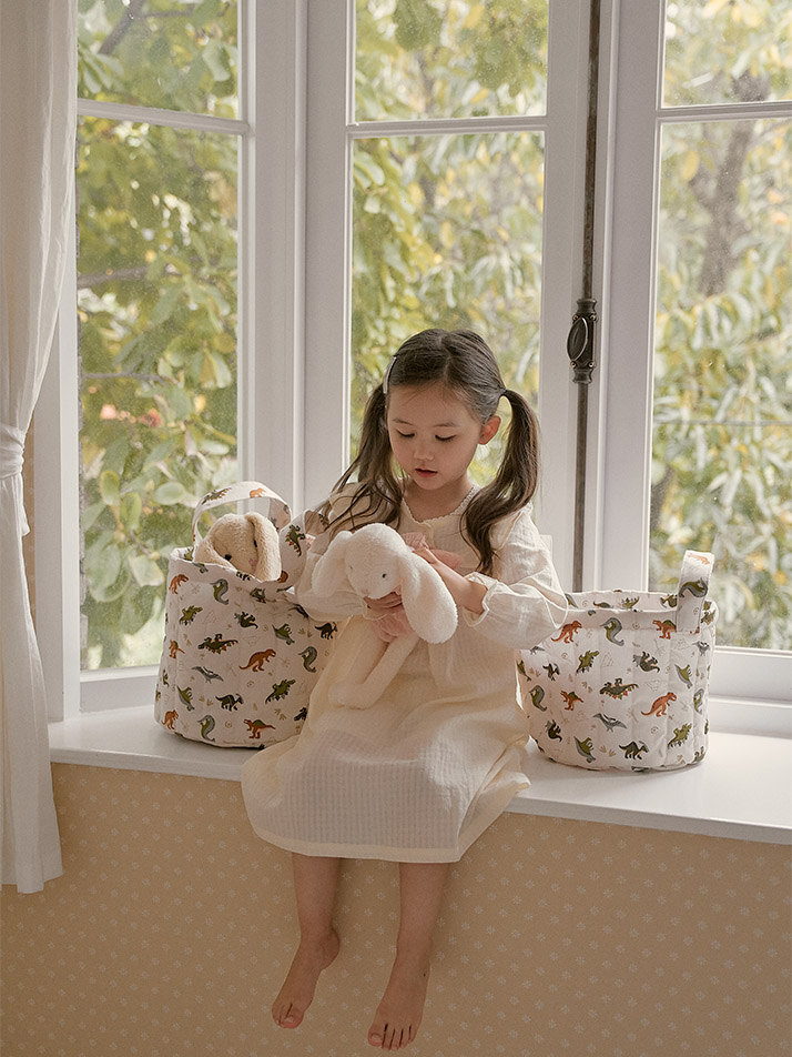 몽레브 공룡 토이바스켓 패브릭바구니 장난감정리함