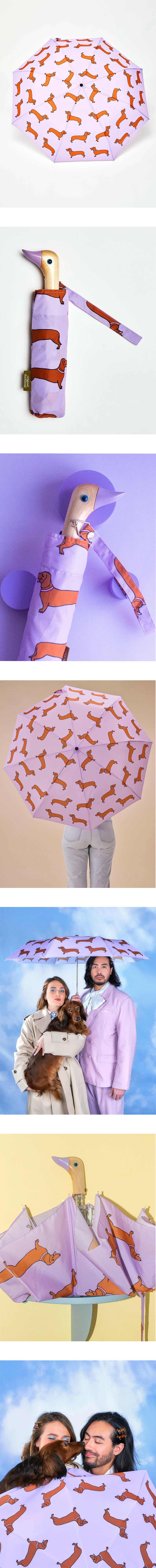 ODH_UMBRELLA_DACHSHUND_1.jpg