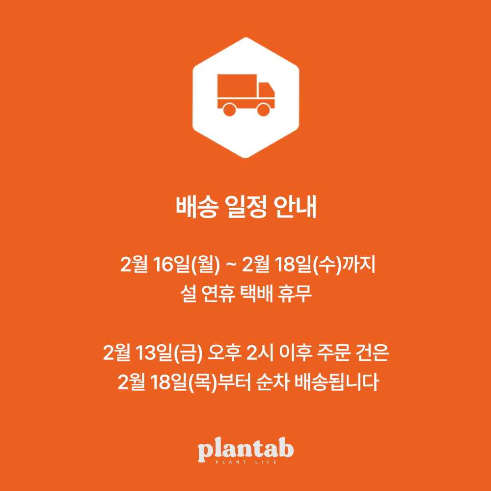 설연휴배송