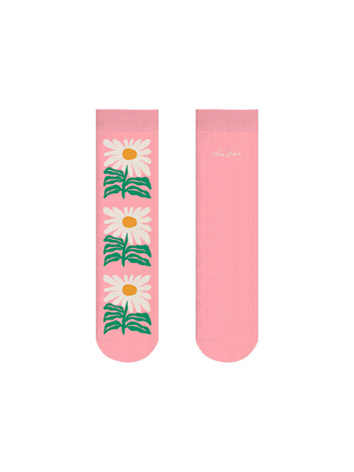 양말 Calendula / 리브 리(Liv Lee)