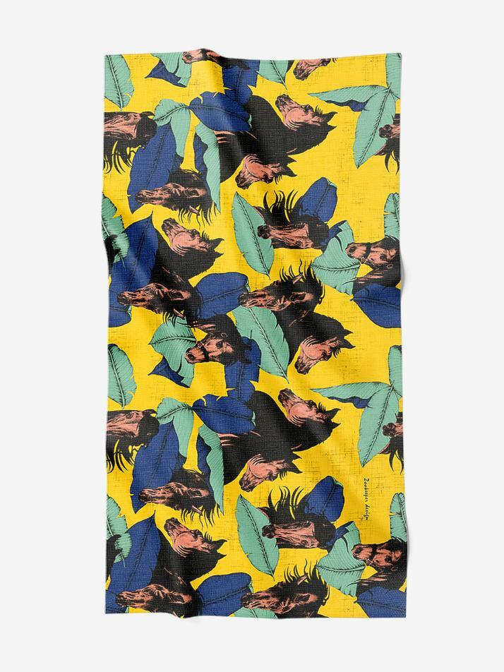 홀스리프 파레오