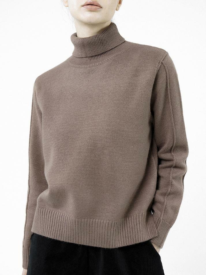 Soft Slit High Turtleneck - Brown /W244TP06BR