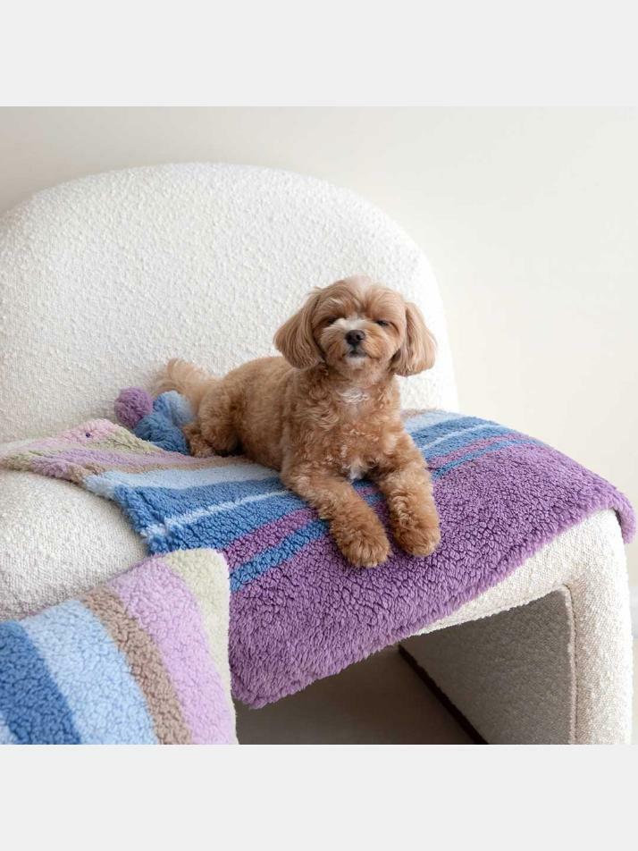 강아지 플리스 망토 블랭킷 3color 2size