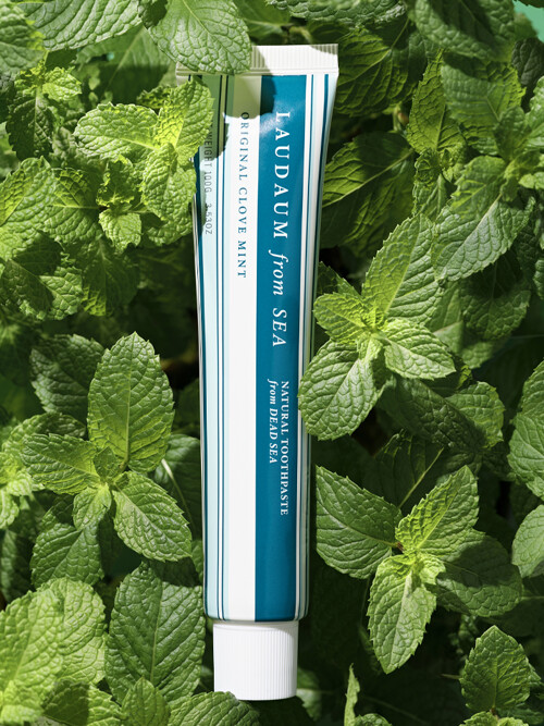 [잇몸질환전용] 클로브 민트 (마일드 쿨링)