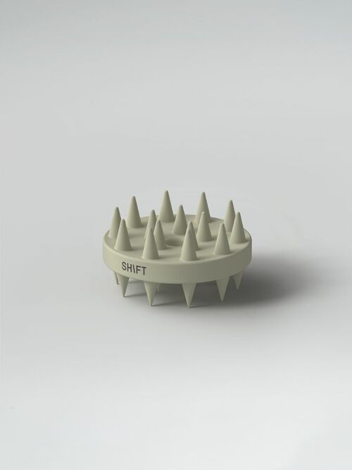 듀얼 스칼프 브러쉬