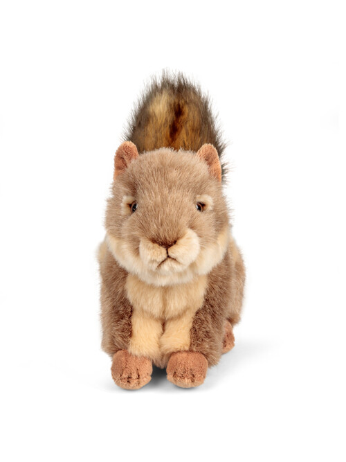 애너미고스 월드 오브 네이처 회색 다람쥐 귀여운 동물인형