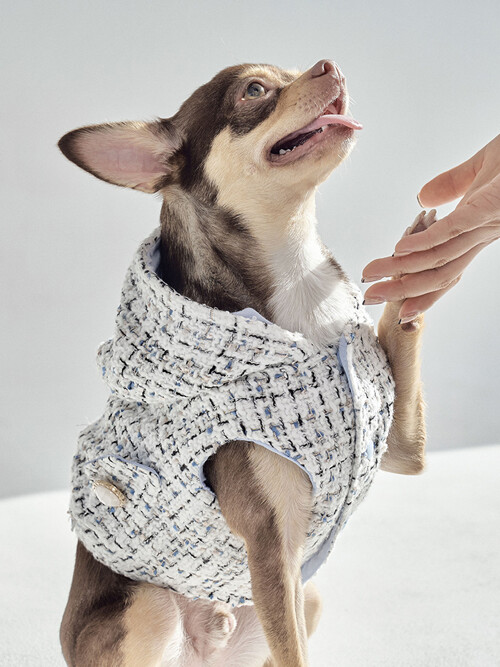 001 Edition - Tweed Hood Vest