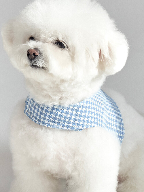 하운드 패턴 하네스 (Hound Pattern Harness) - SKY BLUE / GREEN