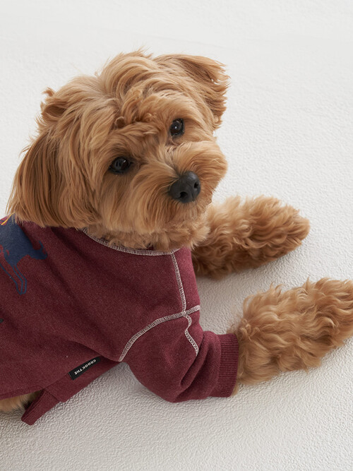 로고 그래픽 스웻 셔츠