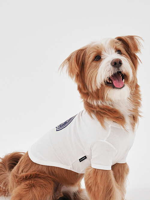 에어리 실켓 탑 | Airy Silket Top ( Printing version )