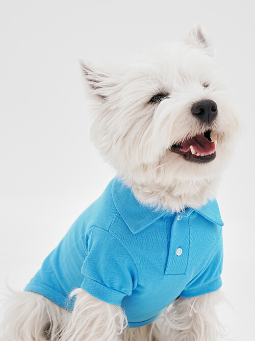 스탠다드 하프 PK 탑 | Standard Half PK Top ( 6color )