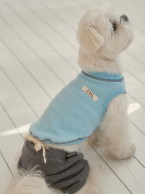 데일리 와플 하프 팬츠 | Daily Waffle Half Pants (3color)