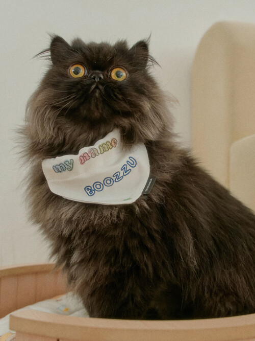 플러피 아이스 인견 쿨매트 For Cat | Fluffy Ice Rayon Coolmat For Cat (2 color)