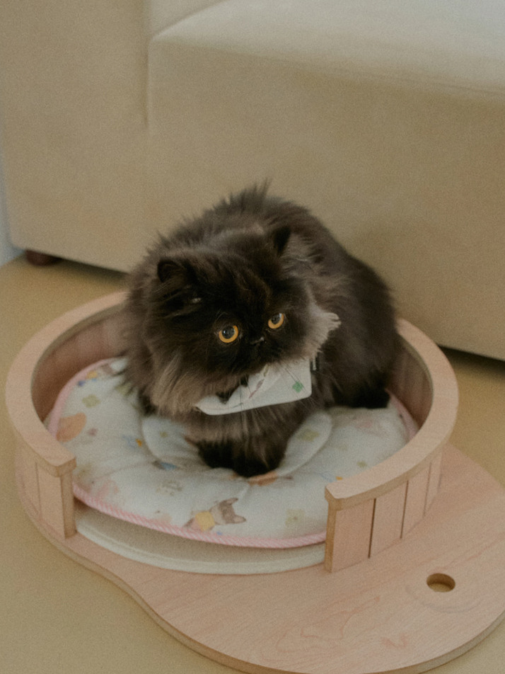 플러피 아이스 인견 쿨매트 For Cat | Fluffy Ice Rayon Coolmat For Cat (2 color)