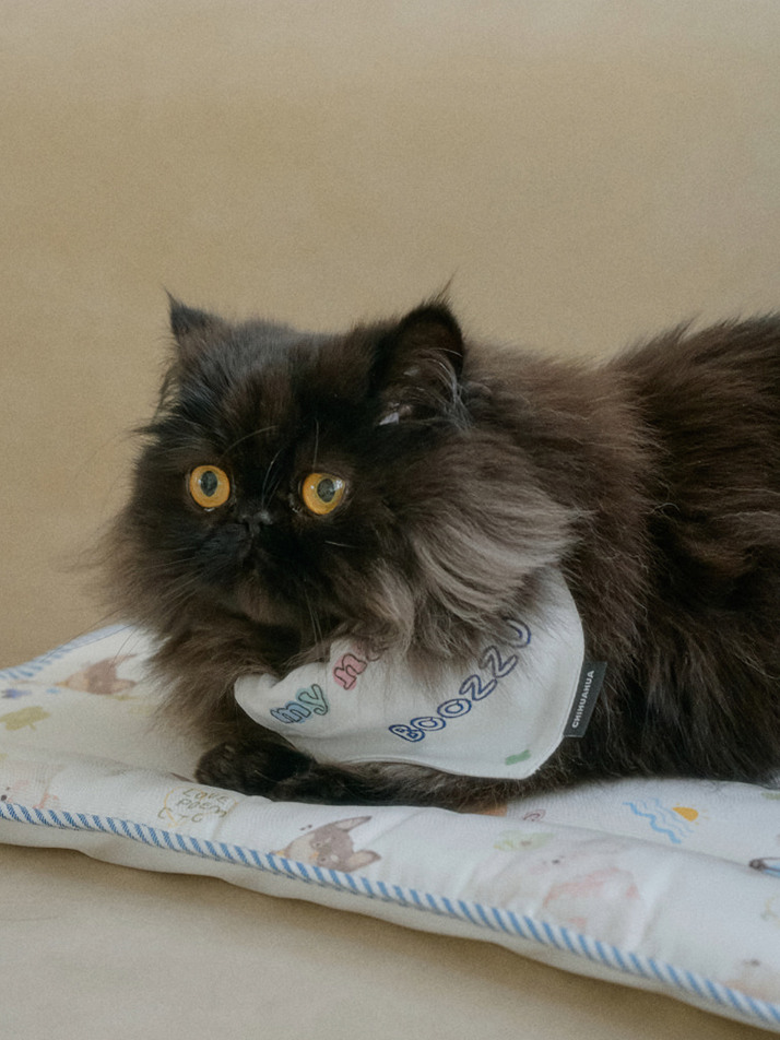 플러피 아이스 인견 쿨매트 For Cat | Fluffy Ice Rayon Coolmat For Cat (2 color)