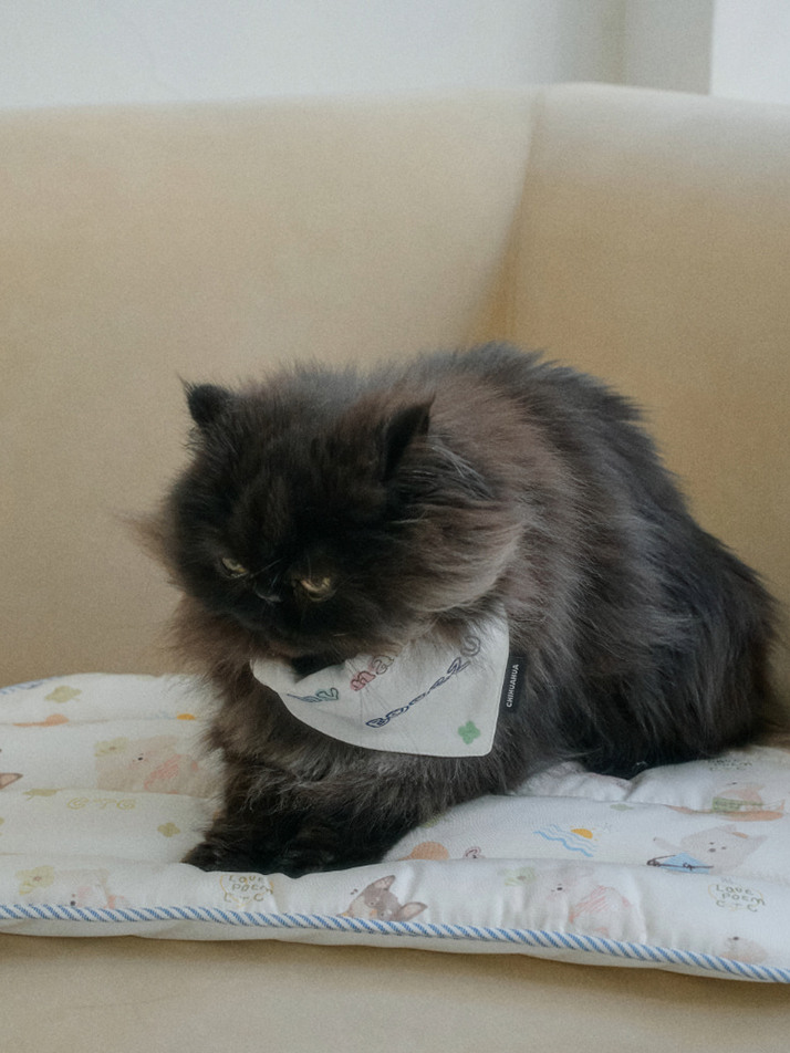 플러피 아이스 인견 쿨매트 For Cat | Fluffy Ice Rayon Coolmat For Cat (2 color)