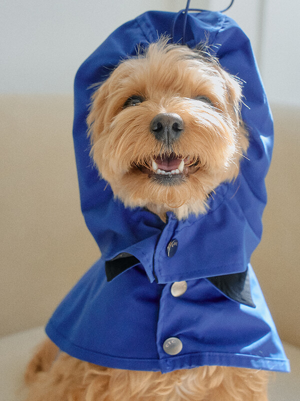 테일러링 워터프루프 레인코트 | Tailoring Waterproof Raincoat (2color)