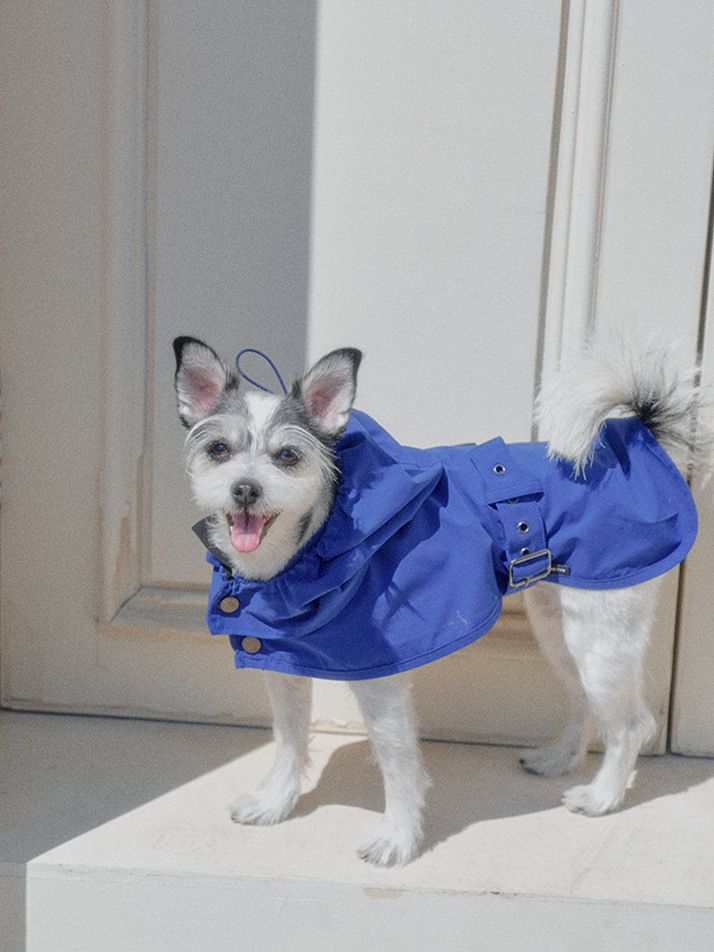 테일러링 워터프루프 레인코트 | Tailoring Waterproof Raincoat (2color)