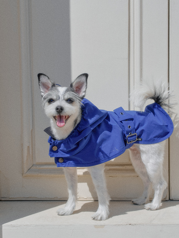 테일러링 워터프루프 레인코트 | Tailoring Waterproof Raincoat (2color)