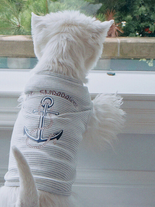 마린 스트라이프 앵커 티셔츠 | Marine Stripe Anchor T-shirt (2color)