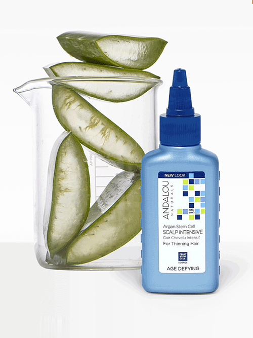 안달로우 아르간 스템셀 두피 에센스 62ml