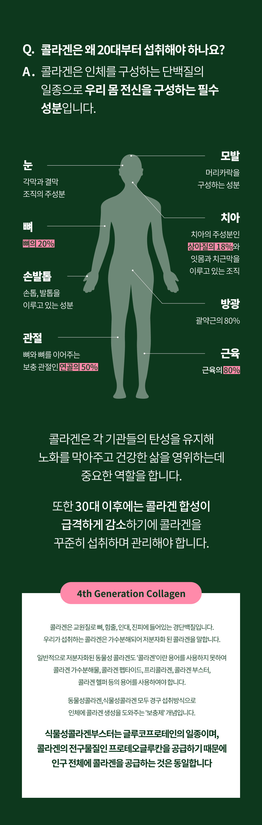 16_%EC%98%AC%EC%98%81_%EC%9D%B8%EC%B2%B4%EA%B5%AC%EC%84%B1.jpg