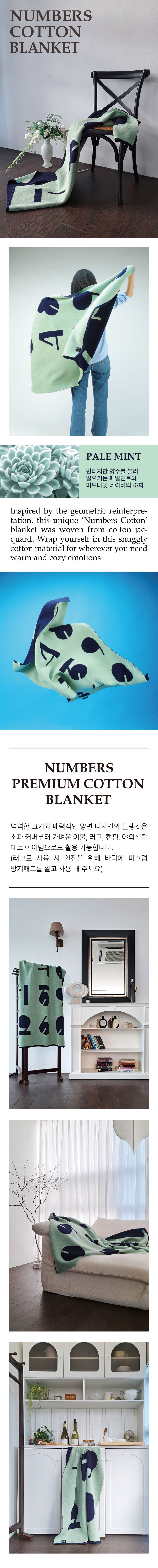PALE-MINT_%EC%83%81%ED%92%88%EA%B8%B0%EC%88%A0%EC%84%9C1.jpg