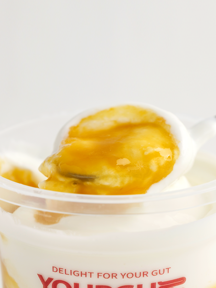 [유얼거트] 망고 그릭요거트 6개