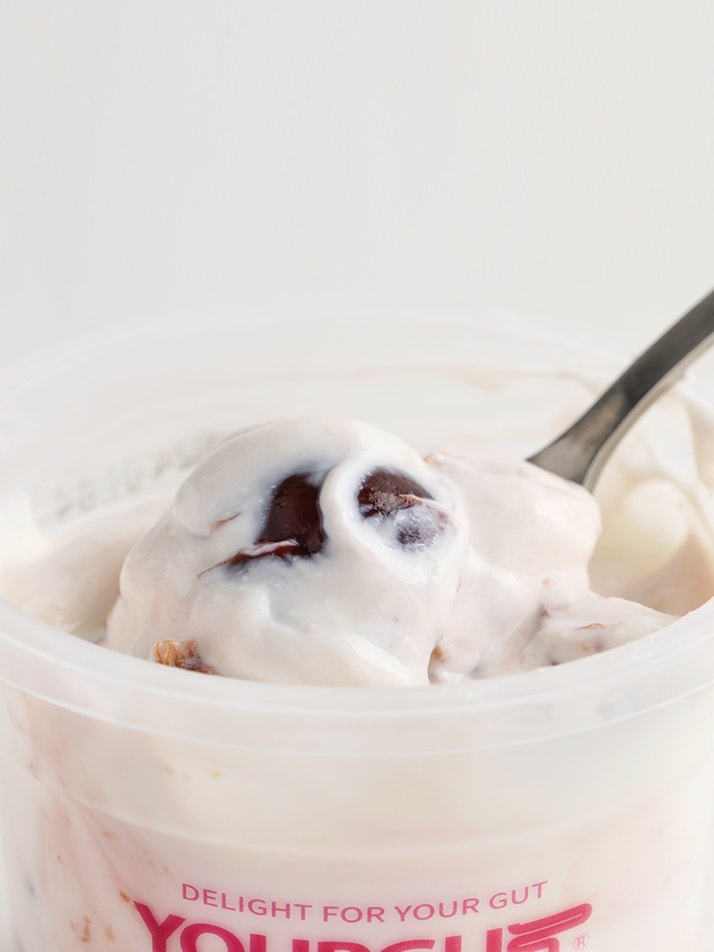 [유얼거트] 체리쥬빌레 그릭요거트 6개