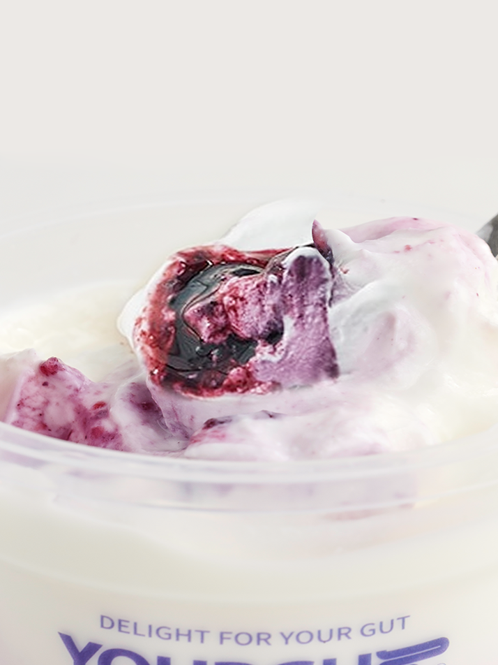 [유얼거트] 블루베리 그릭요거트 6개