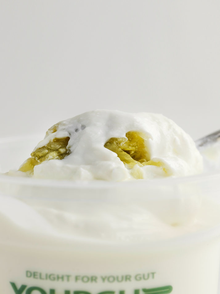 [유얼거트] 청귤 그릭요거트 6개