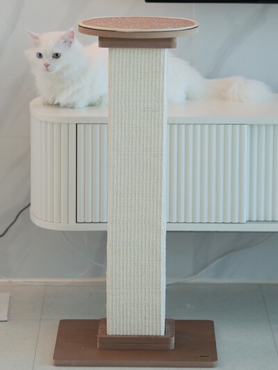 아토주 파우제 수직 기둥 스크래쳐 - 카페트 탑시트 세트