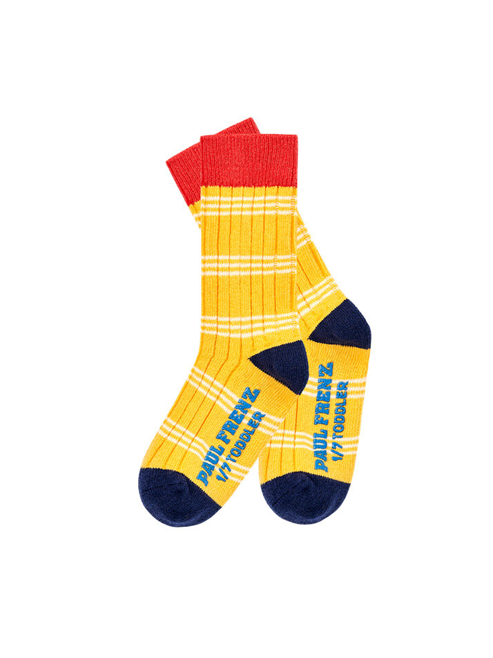 폴프랜즈 유아동 성인 원사이즈 양말 테라세트 (TER)