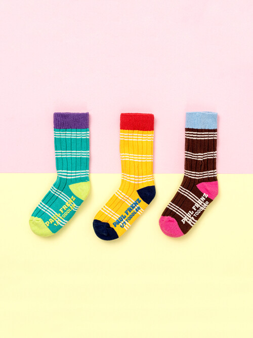 폴프랜즈 유아동 성인 원사이즈 양말 테라세트 (TER)