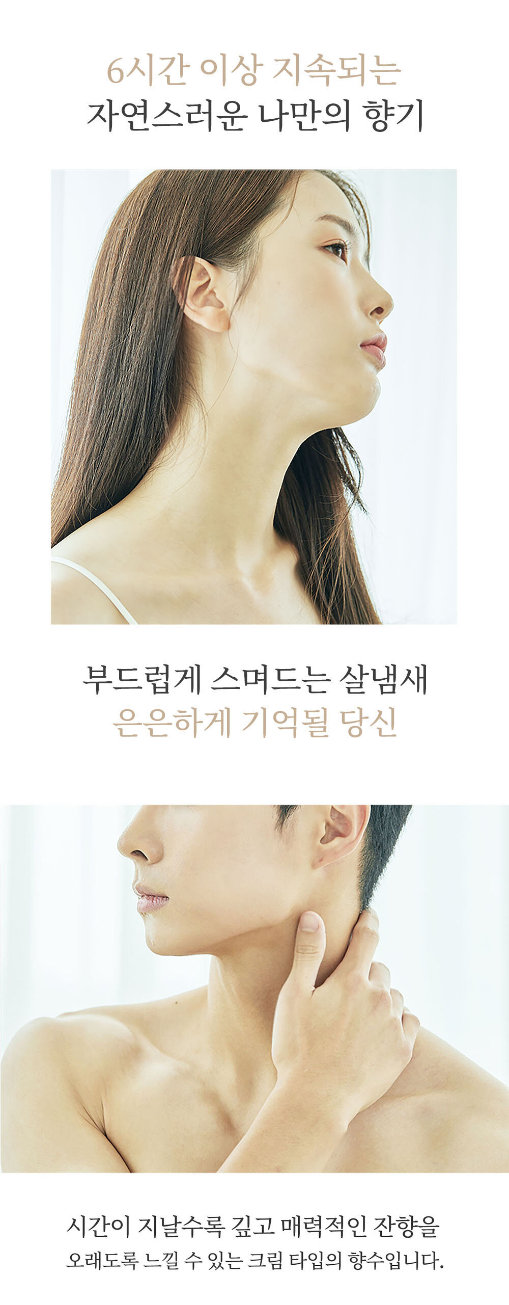 new_solid_%20(1)_LONG.jpg