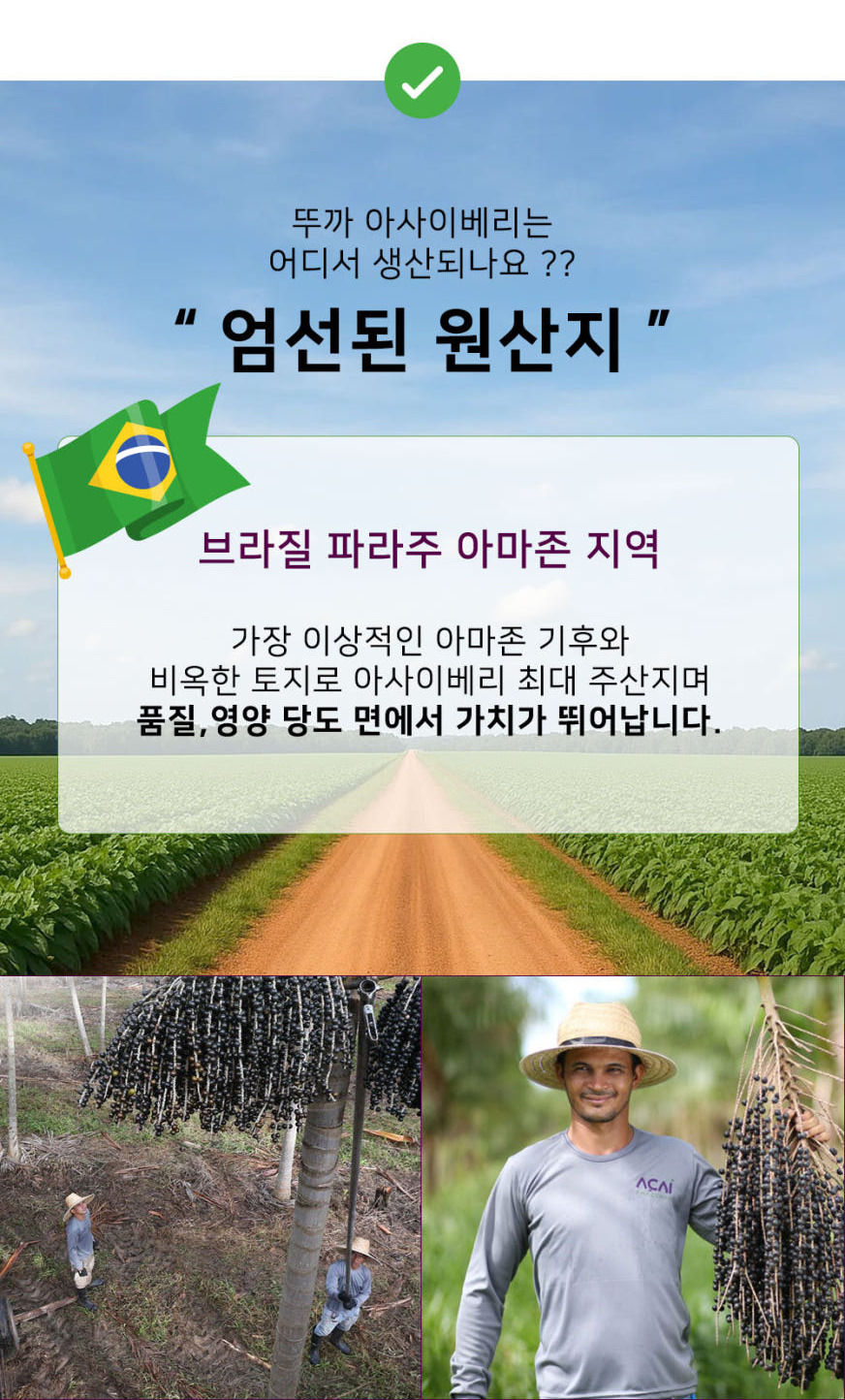 250520_%EB%B0%94%ED%83%80%EC%9E%85%EC%88%98%EC%A0%9502.jpg