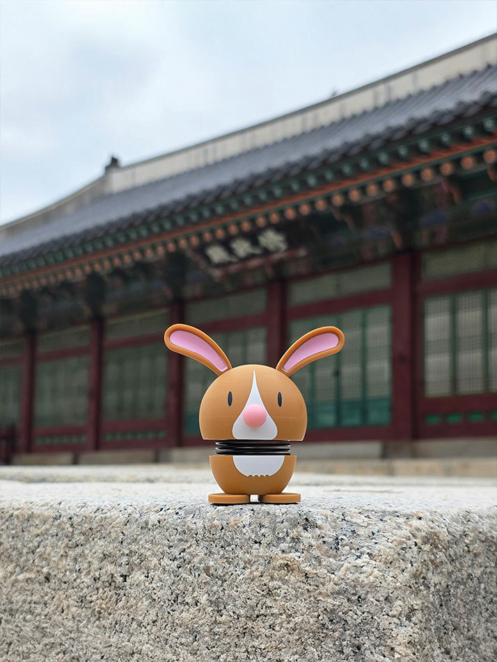 홉티미스트 12지신(토끼띠)