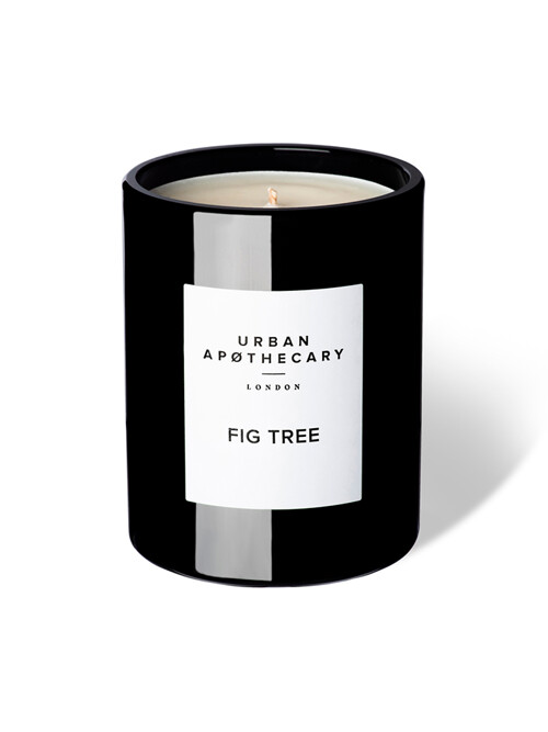 어반 아포테케리 캔들 피그 트리 70g