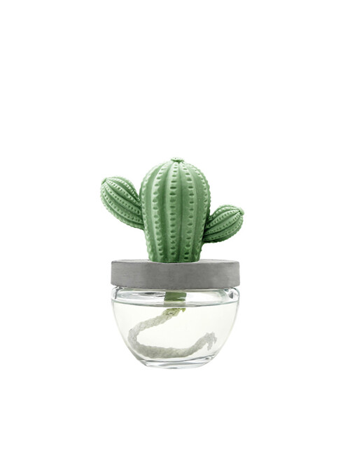 실내디퓨저 선인장 석고방향제 100ml 4종/향 선택