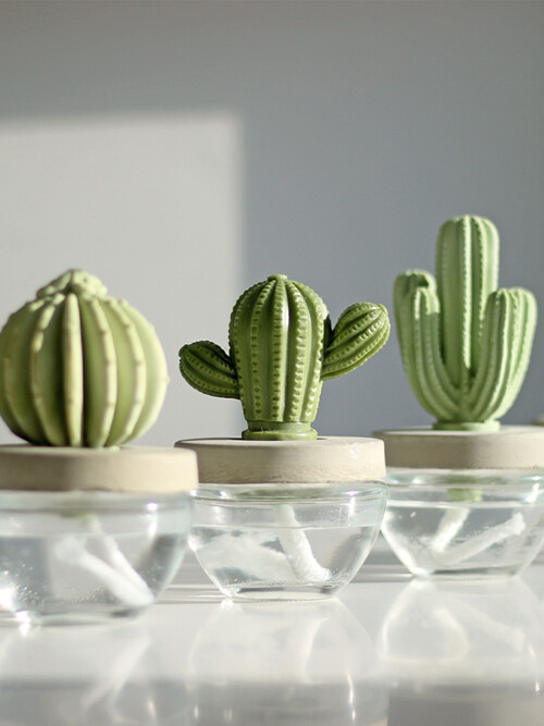 실내디퓨저 선인장 석고방향제 100ml 4종/향 선택