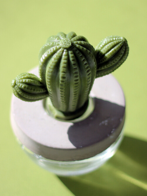 아로마코 선인장 실내디퓨저 석고방향제 100ml 시트러스버베나