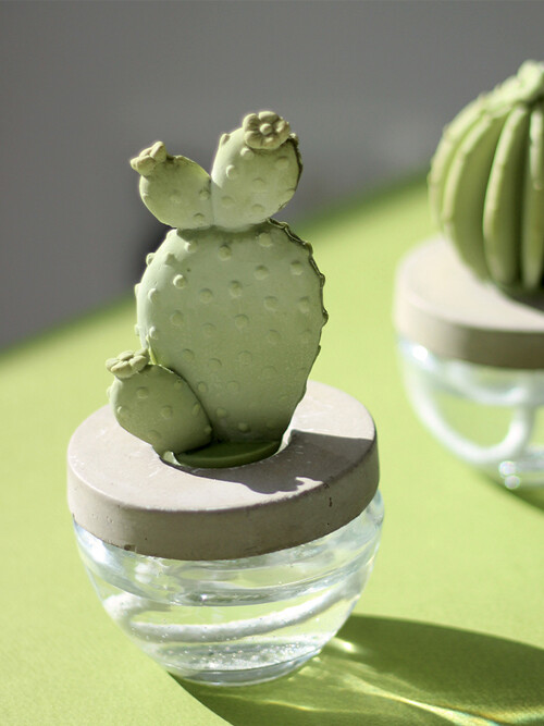 아로마코 선인장 실내디퓨저 석고방향제 100ml 잉글리쉬가든