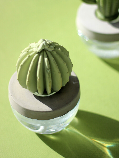 아로마코 선인장 실내디퓨저 석고방향제 100ml 플라워미스트