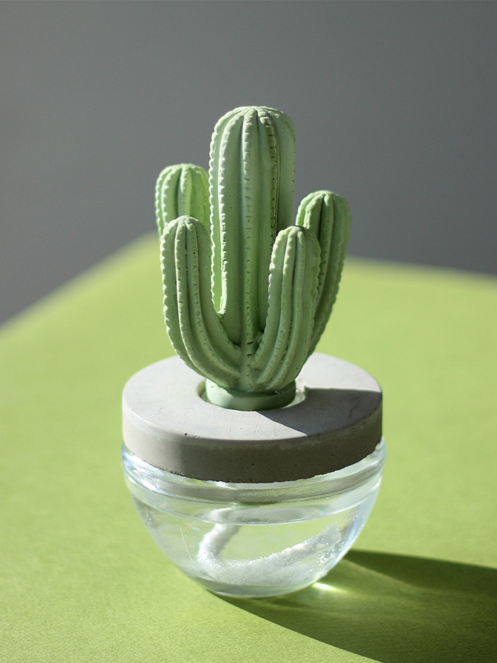 아로마코 선인장 실내디퓨저 석고방향제 100ml 화이트플라워