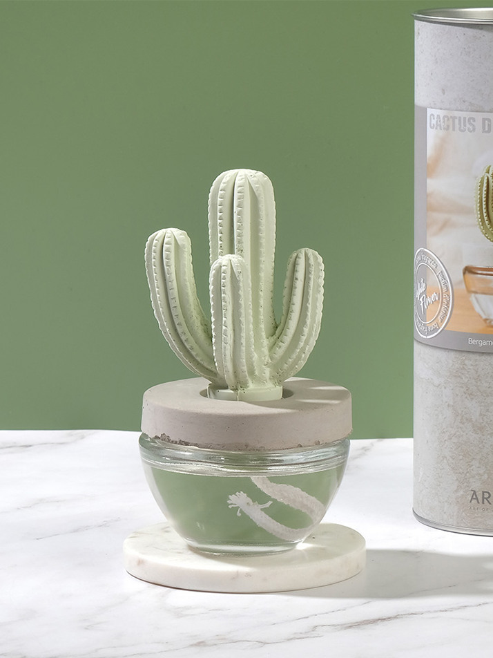 아로마코 선인장 실내디퓨저 석고방향제 100ml 화이트플라워