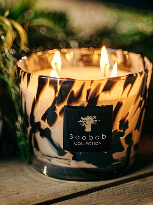 바오밥컬렉션 맥스10 캔들 블랙펄 500g