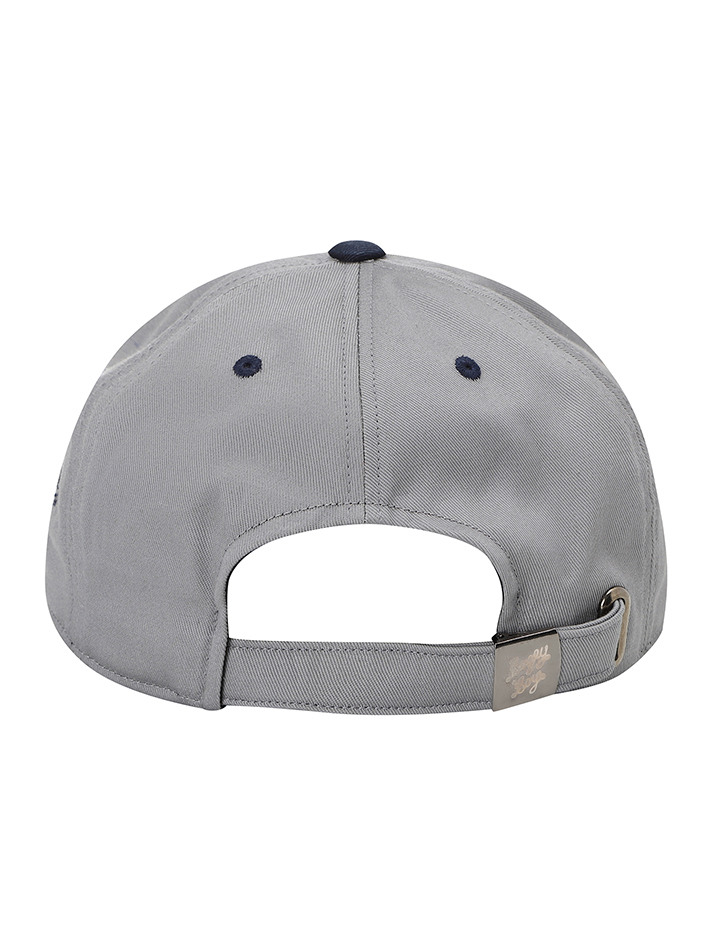 BB COLOR BLOCK UNISEX CAP_GRAY