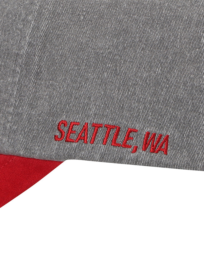 BB SUEDE BLOCKED UNISEX BALL CAP_GREY