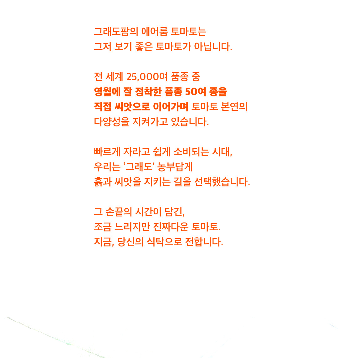 250722_%E1%84%8B%E1%85%A6%E1%84%8B%E1%85%A5%E1%84%85%E1%85%AE%E1%86%B7%E1%84%90%E1%85%A9%E1%84%86%E1%85%A1%E1%84%90%E1%85%A9%20%E1%84%89%E1%85%A1%E1%86%BC%E1%84%89%E1%85%A6%E1%84%91%E1%85%A6%E1%84%8B%E1%85%B5%E1%84%8C%E1%85%B5(%E1%84%86%E1%85%A9%E1%84%87%E1%85%A1%E1%84%8B%E1%85%B5%E1%86%AF%E1%84%87%E1%85%A5%E1%84%8C%E1%85%A5%E1%86%AB)%20(2).jpg