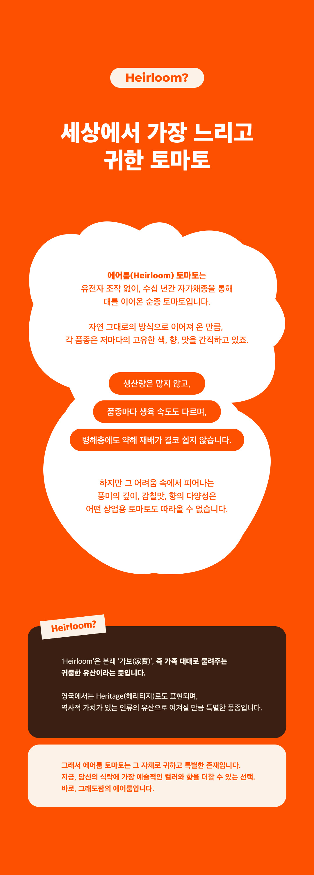 250722_%E1%84%8B%E1%85%A6%E1%84%8B%E1%85%A5%E1%84%85%E1%85%AE%E1%86%B7%E1%84%90%E1%85%A9%E1%84%86%E1%85%A1%E1%84%90%E1%85%A9%20%E1%84%89%E1%85%A1%E1%86%BC%E1%84%89%E1%85%A6%E1%84%91%E1%85%A6%E1%84%8B%E1%85%B5%E1%84%8C%E1%85%B5(%E1%84%86%E1%85%A9%E1%84%87%E1%85%A1%E1%84%8B%E1%85%B5%E1%86%AF%E1%84%87%E1%85%A5%E1%84%8C%E1%85%A5%E1%86%AB)%20(7).jpg
